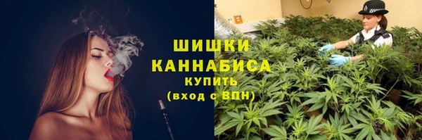 крисы Армянск