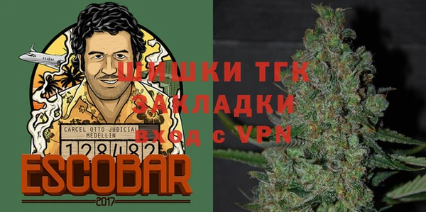 трава Аркадак