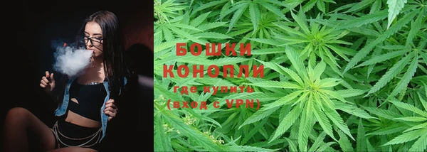 крисы Армянск