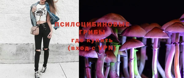 дмт Арсеньев