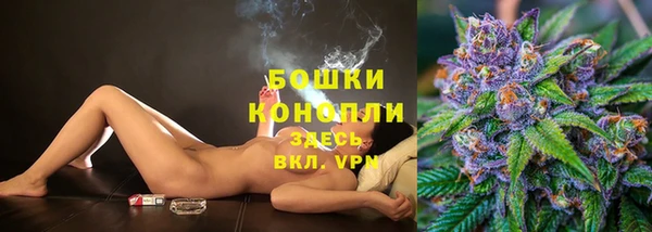 дмт Арсеньев