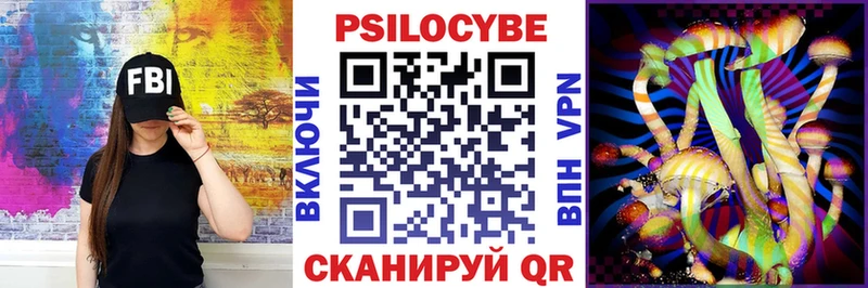 blacksprut ссылка  Саров  Галлюциногенные грибы Psilocybe 